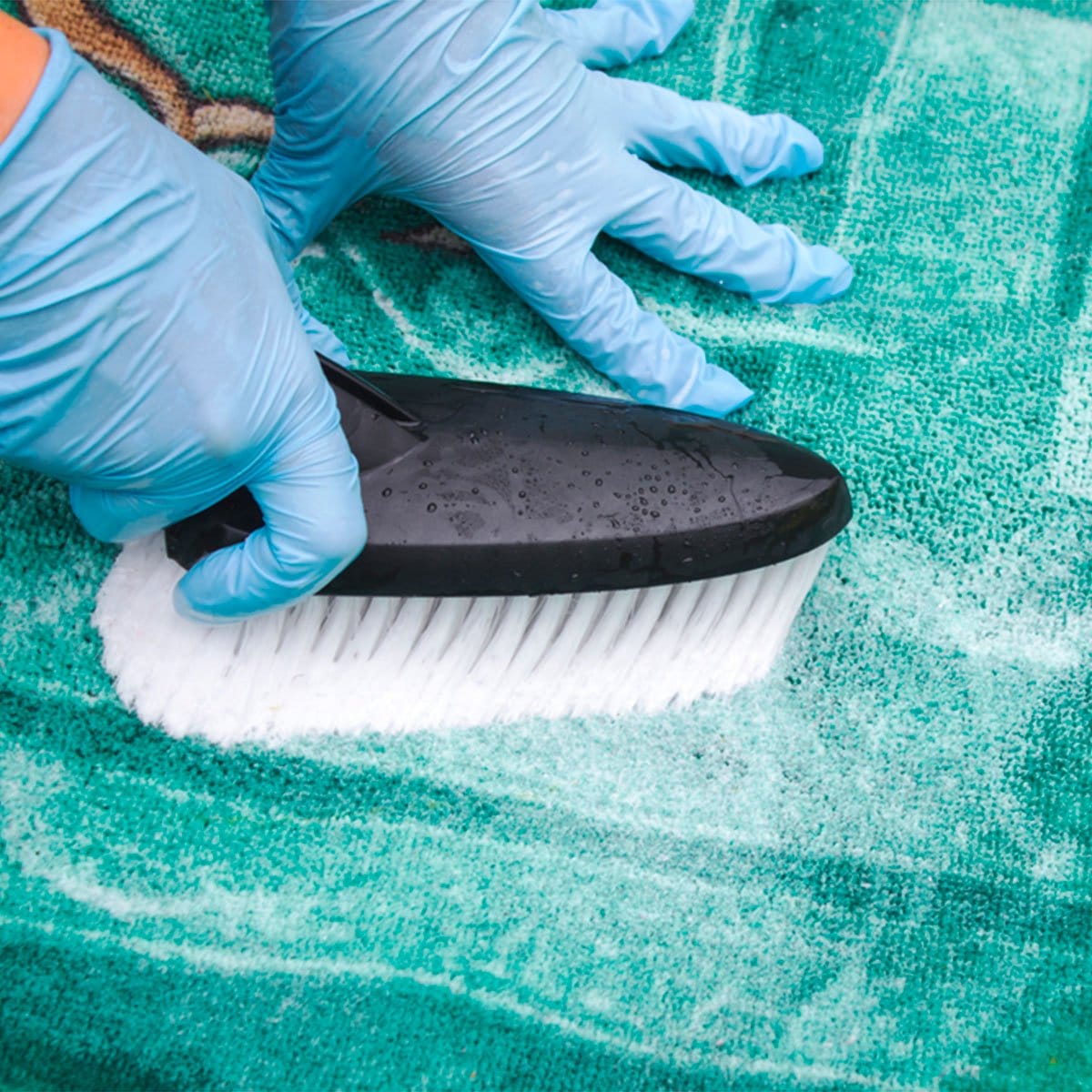 colorfast test for rug