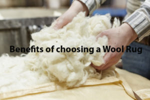 Read more about the article 10 Reasons to own a Wool Rug for your home