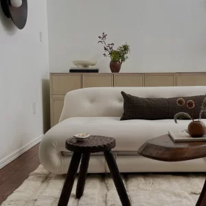 Read more about the article The Ultimate Guide to Mrirt Rugs: The Most Luxurious and Valuable Moroccan Rug