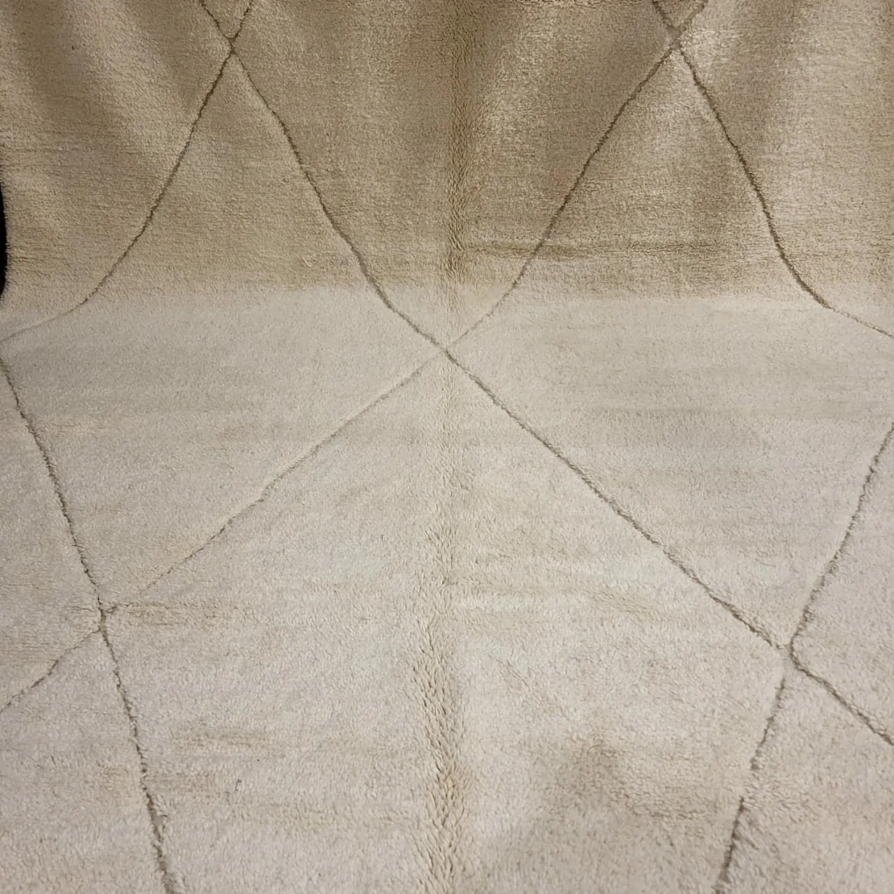 Shag Moroccan Beni Ourain Rug 9'x13' - Image 7