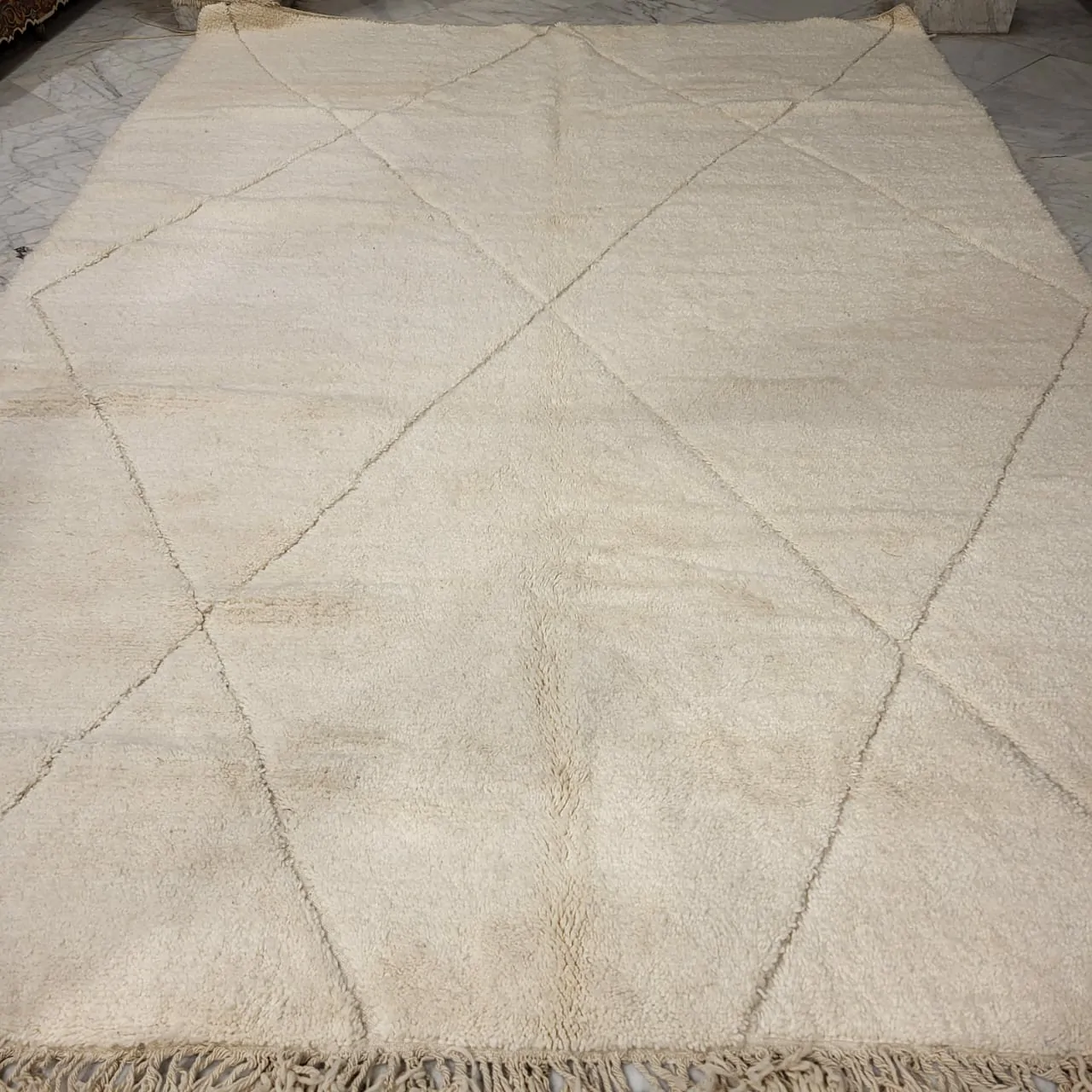 Shag Moroccan Beni Ourain Rug 9'x13' - Image 8