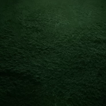 Solid Beni Ourain Rug Emerald Green